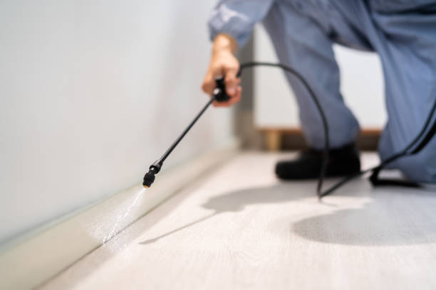 Licensed Pest Control service in Forest Oaks, NC - Show Me Pest Control