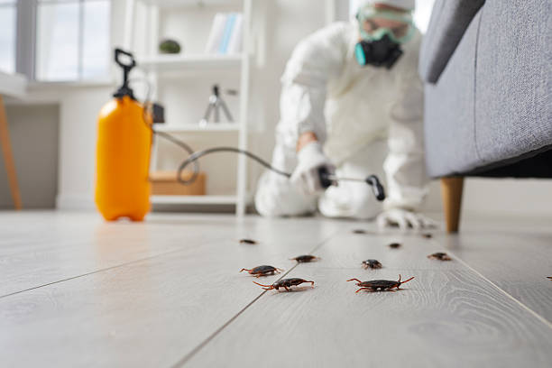 Post-Treatment Bed Bug Interceptor Monitoring in Forest Oaks