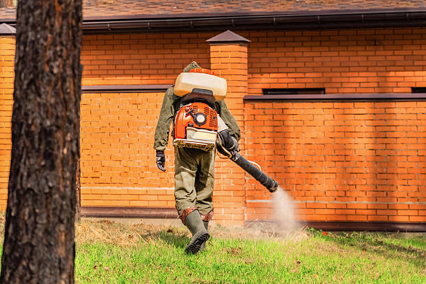 Bed Bug Clearance Verification and Documentation in Forest Oaks
